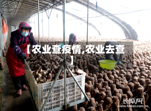 【农业查疫情,农业去查】