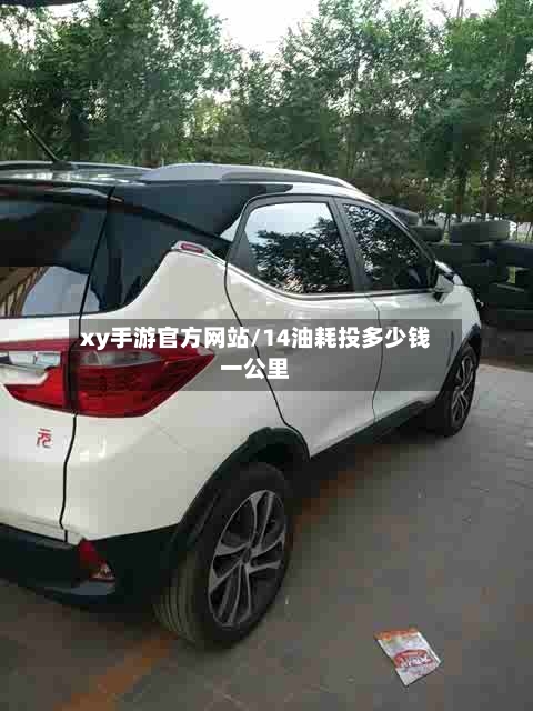 xy手游官方网站/14油耗投多少钱一公里