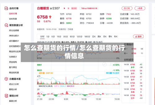 怎么查期货的行情/怎么查期货的行情信息-第3张图片
