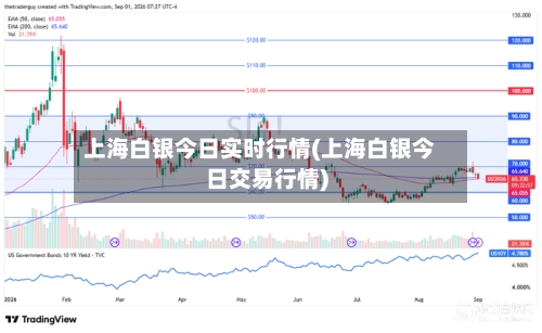 上海白银今日实时行情(上海白银今日交易行情)-第2张图片