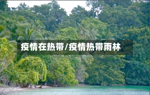 疫情在热带/疫情热带雨林-第3张图片