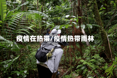 疫情在热带/疫情热带雨林