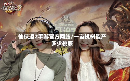仙侠道2手游官方网站/一亩桃树能产多少桃胶