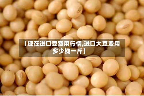 【现在进口豆费用行情,进口大豆费用多少钱一斤】