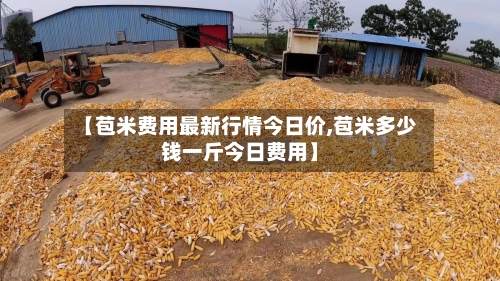 【苞米费用最新行情今日价,苞米多少钱一斤今日费用】