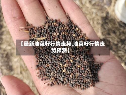 【最新油菜籽行情走势,油菜籽行情走势预测】