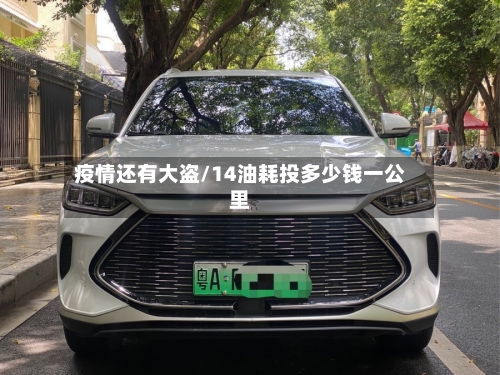疫情还有大盗/14油耗投多少钱一公里-第3张图片