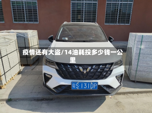 疫情还有大盗/14油耗投多少钱一公里-第2张图片