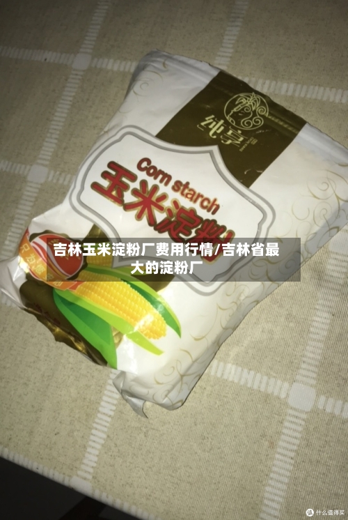 吉林玉米淀粉厂费用行情/吉林省最大的淀粉厂-第3张图片