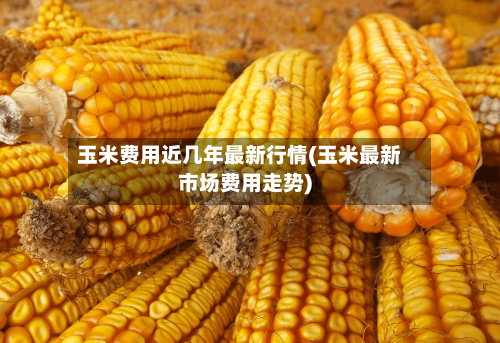 玉米费用近几年最新行情(玉米最新市场费用走势)