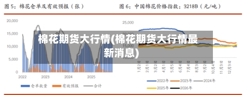 棉花期货大行情(棉花期货大行情最新消息)-第3张图片