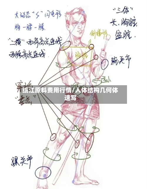 纸江原料费用行情/人体结构几何体速写-第2张图片