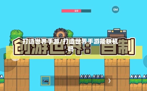打造世界手游/打造世界手游能联机吗