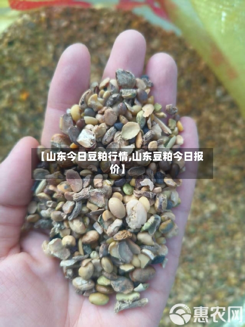 【山东今日豆粕行情,山东豆粕今日报价】-第2张图片