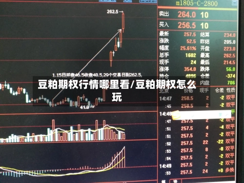 豆粕期权行情哪里看/豆粕期权怎么玩-第2张图片