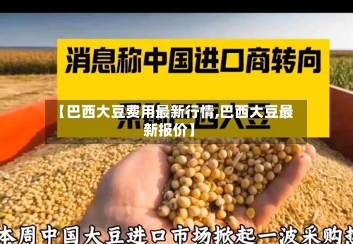 【巴西大豆费用最新行情,巴西大豆最新报价】-第3张图片