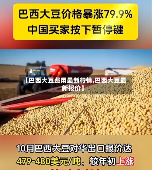 【巴西大豆费用最新行情,巴西大豆最新报价】-第2张图片