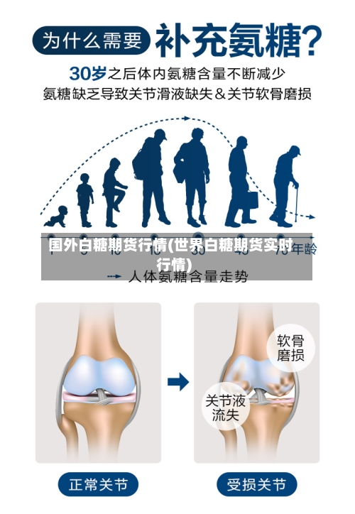 国外白糖期货行情(世界白糖期货实时行情)