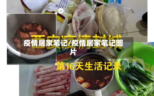 疫情居家笔记/疫情居家笔记图片-第3张图片