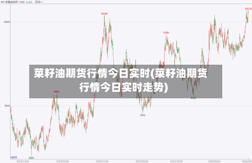 菜籽油期货行情今日实时(菜籽油期货行情今日实时走势)