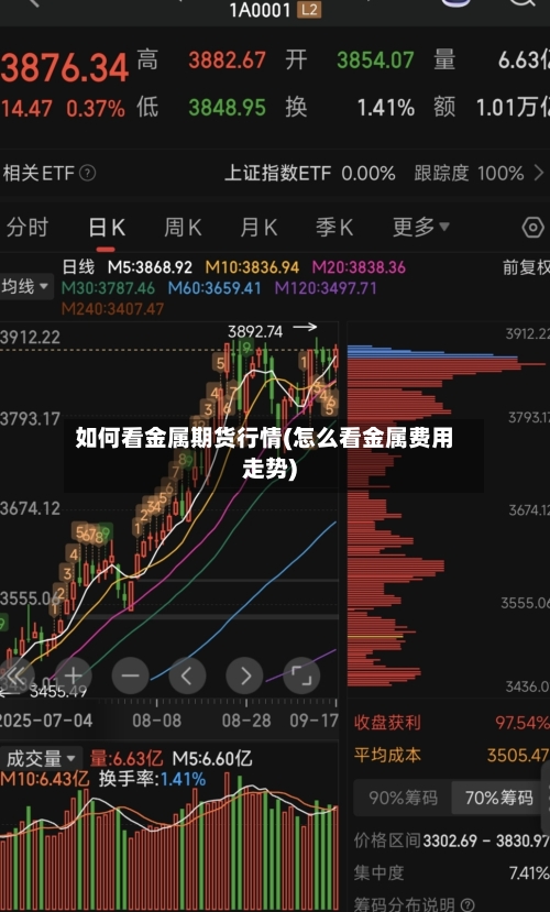 如何看金属期货行情(怎么看金属费用走势)-第3张图片