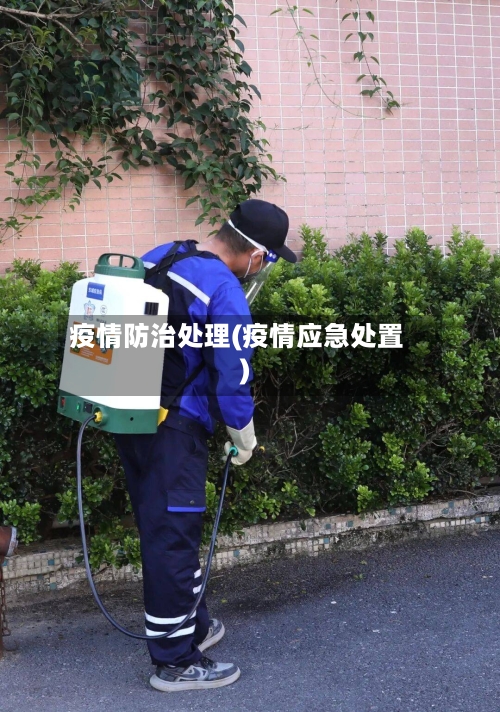 疫情防治处理(疫情应急处置)-第2张图片