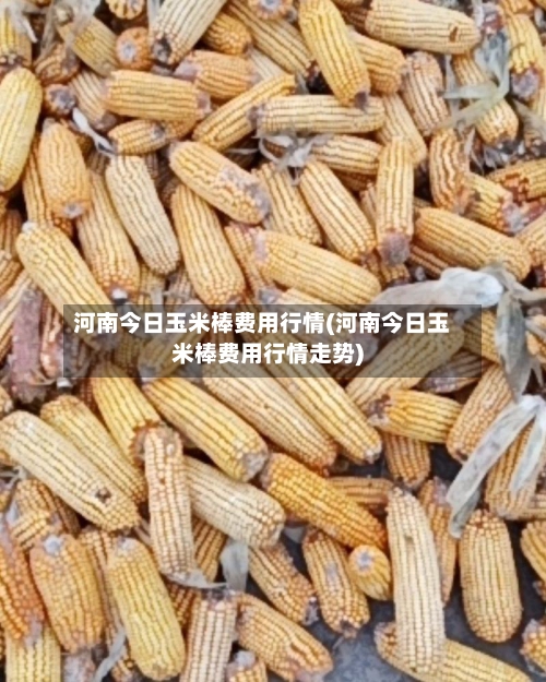 河南今日玉米棒费用行情(河南今日玉米棒费用行情走势)-第2张图片