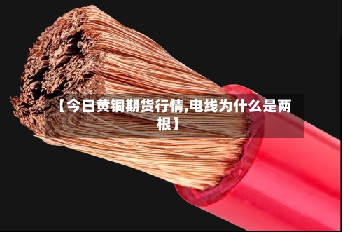 【今日黄铜期货行情,电线为什么是两根】-第2张图片