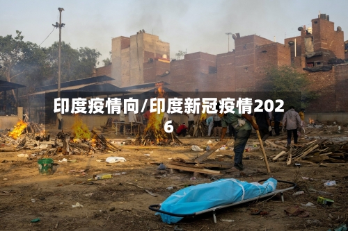 印度疫情向/印度新冠疫情2026-第2张图片