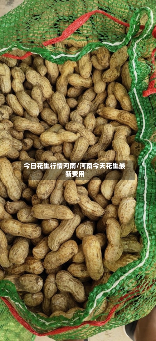 今日花生行情河南/河南今天花生最新费用