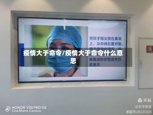 疫情大于命令/疫情大于命令什么意思