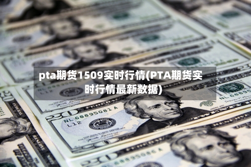 pta期货1509实时行情(PTA期货实时行情最新数据)-第2张图片