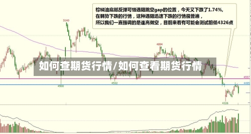 如何查期货行情/如何查看期货行情