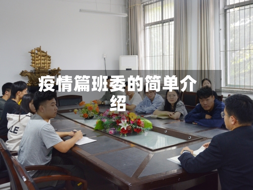 疫情篇班委的简单介绍