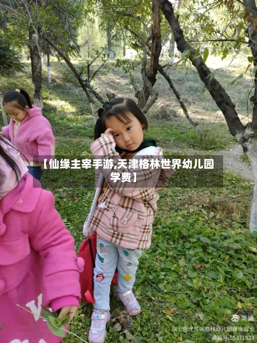 【仙缘主宰手游,天津格林世界幼儿园学费】-第2张图片