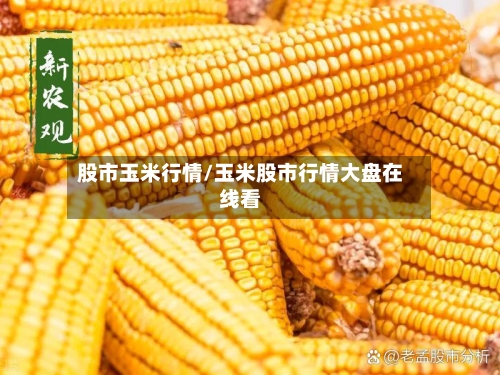 股市玉米行情/玉米股市行情大盘在线看-第2张图片