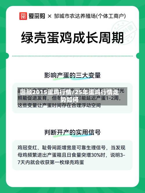 回顾2015蛋鸡行情/25年蛋鸡行情走势如何-第3张图片