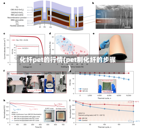 化纤pet的行情(pet制化纤的步骤)-第2张图片