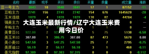 大连玉米最新行情/辽宁大连玉米费用今日价-第2张图片
