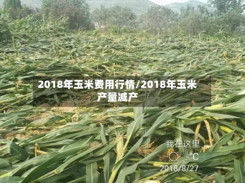 2018年玉米费用行情/2018年玉米产量减产-第2张图片