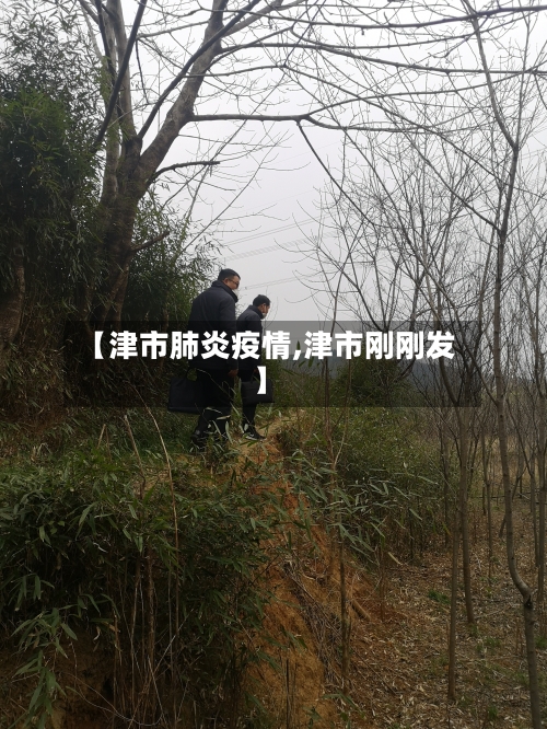 【津市肺炎疫情,津市刚刚发】