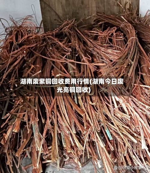 湖南废紫铜回收费用行情(湖南今日废光亮铜回收)-第2张图片