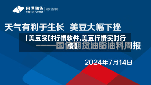 【美豆实时行情软件,美豆行情实时行情】