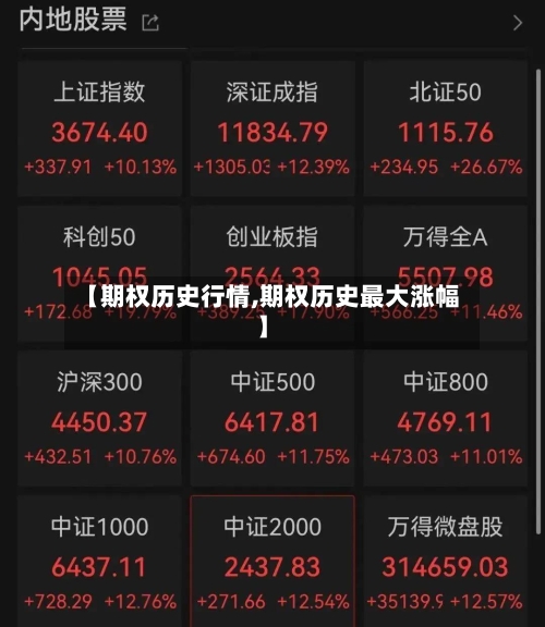 【期权历史行情,期权历史最大涨幅】