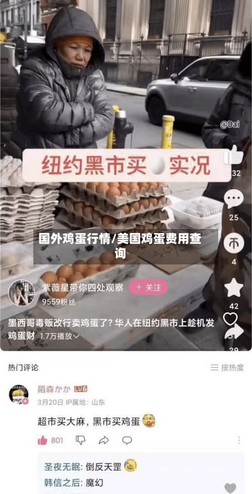 国外鸡蛋行情/美国鸡蛋费用查询-第2张图片