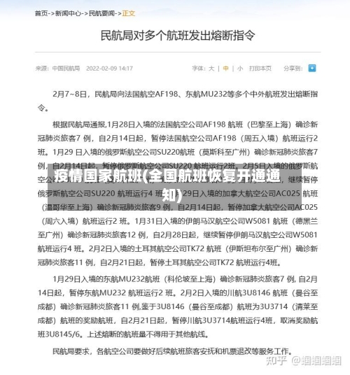 疫情国家航班(全国航班恢复开通通知)
