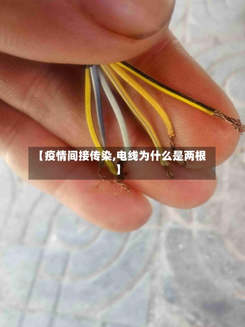 【疫情间接传染,电线为什么是两根】-第2张图片