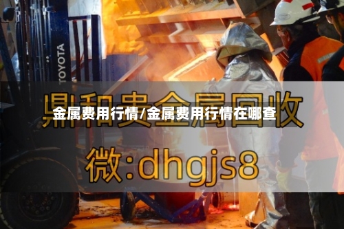 金属费用行情/金属费用行情在哪查-第2张图片