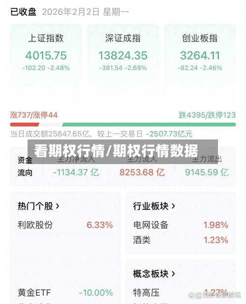 看期权行情/期权行情数据
