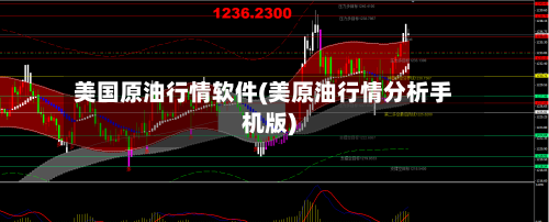 美国原油行情软件(美原油行情分析手机版)